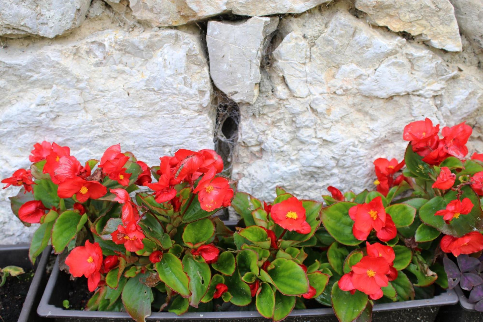 Hostal Domacinstvo Na Kraju Svijeta Sipovo Exterior foto